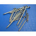 Factory Hot Sale Common Round Nails